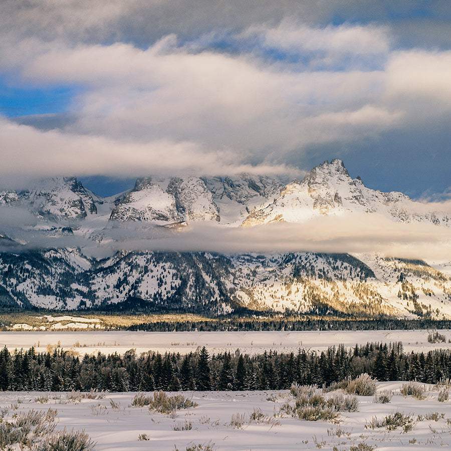 A New Home in Jackson Hole