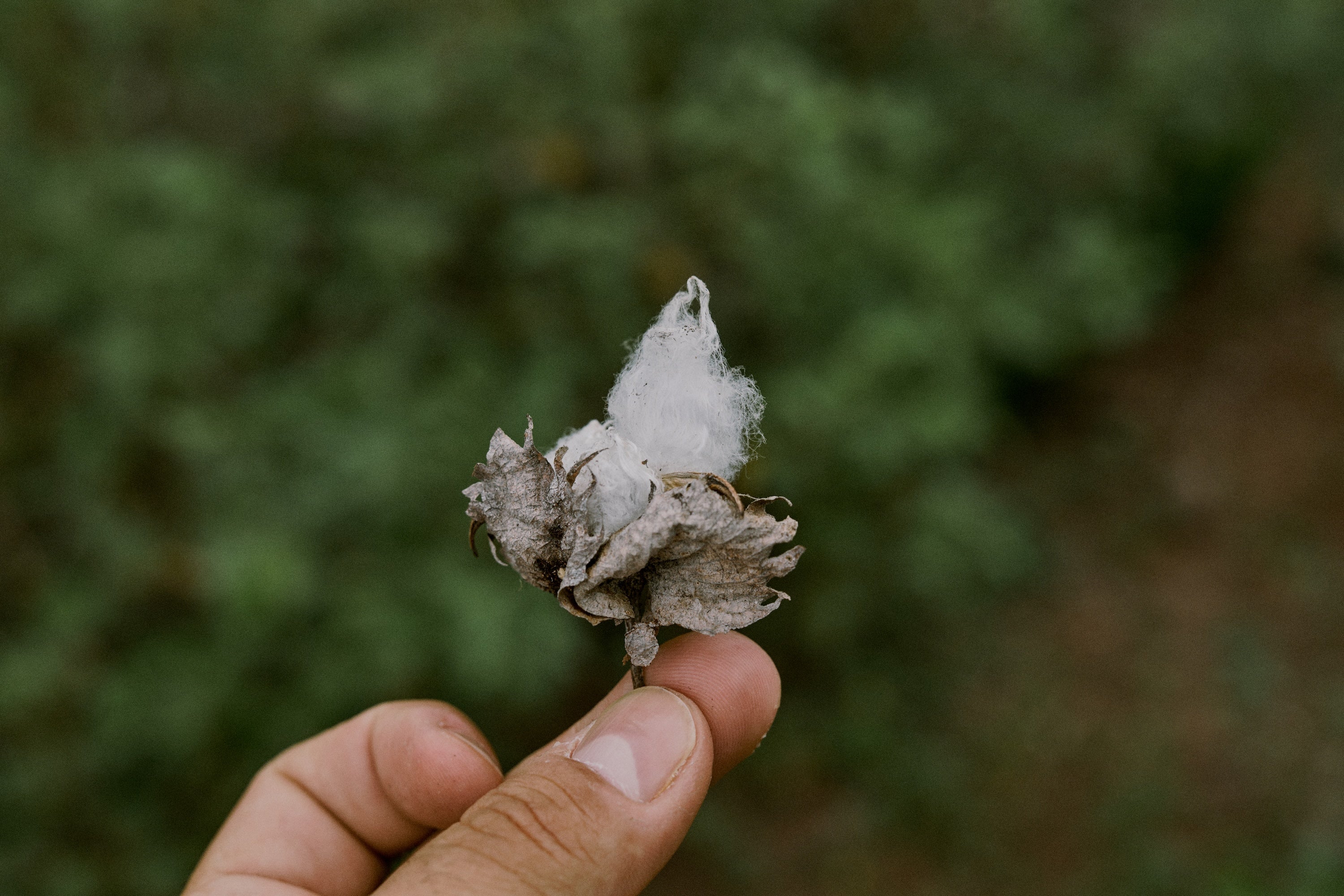 The Making of the Sunwashed Tee with Mike Faherty