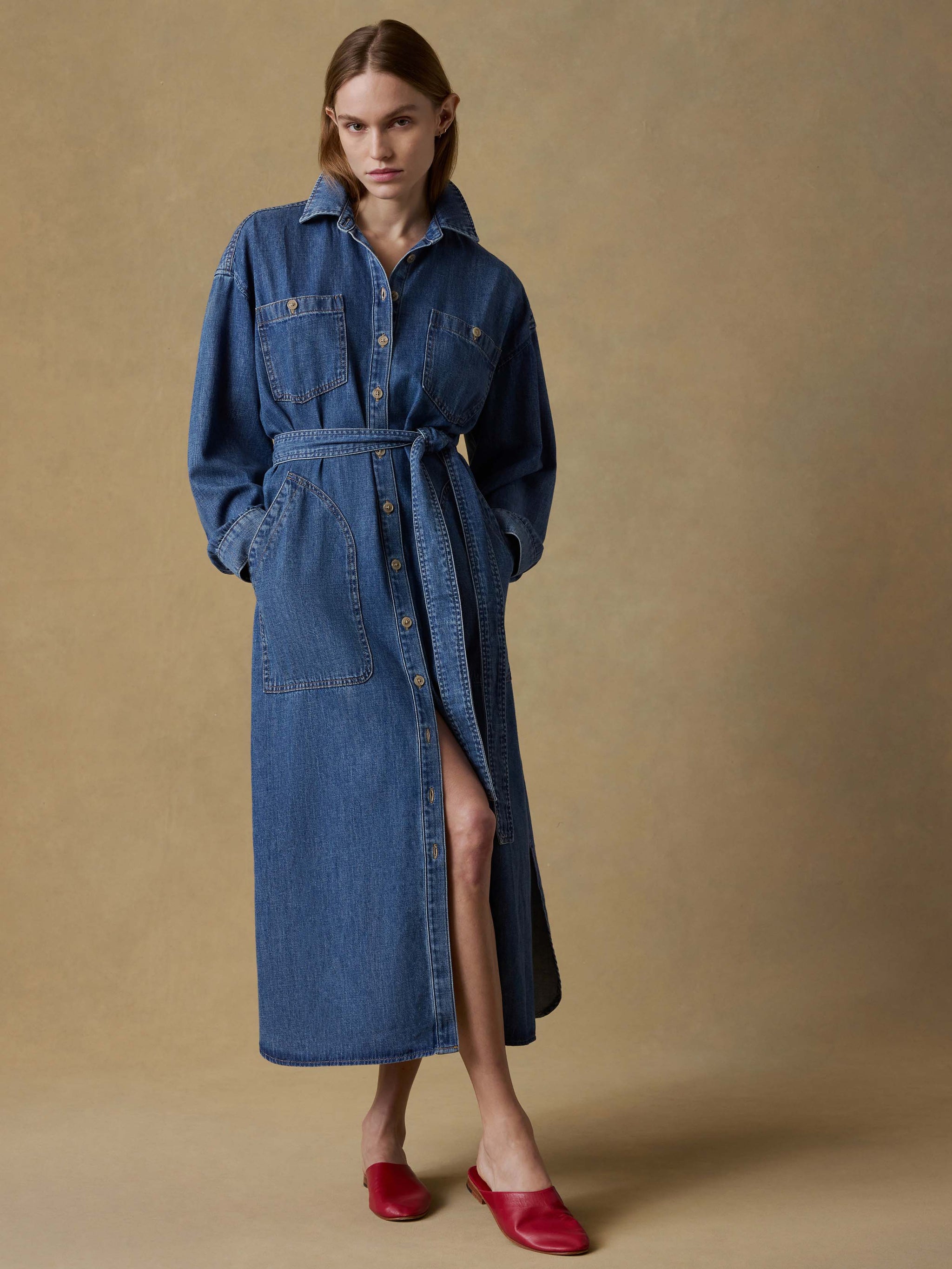 Sunfair Denim Cleo Shirtdress