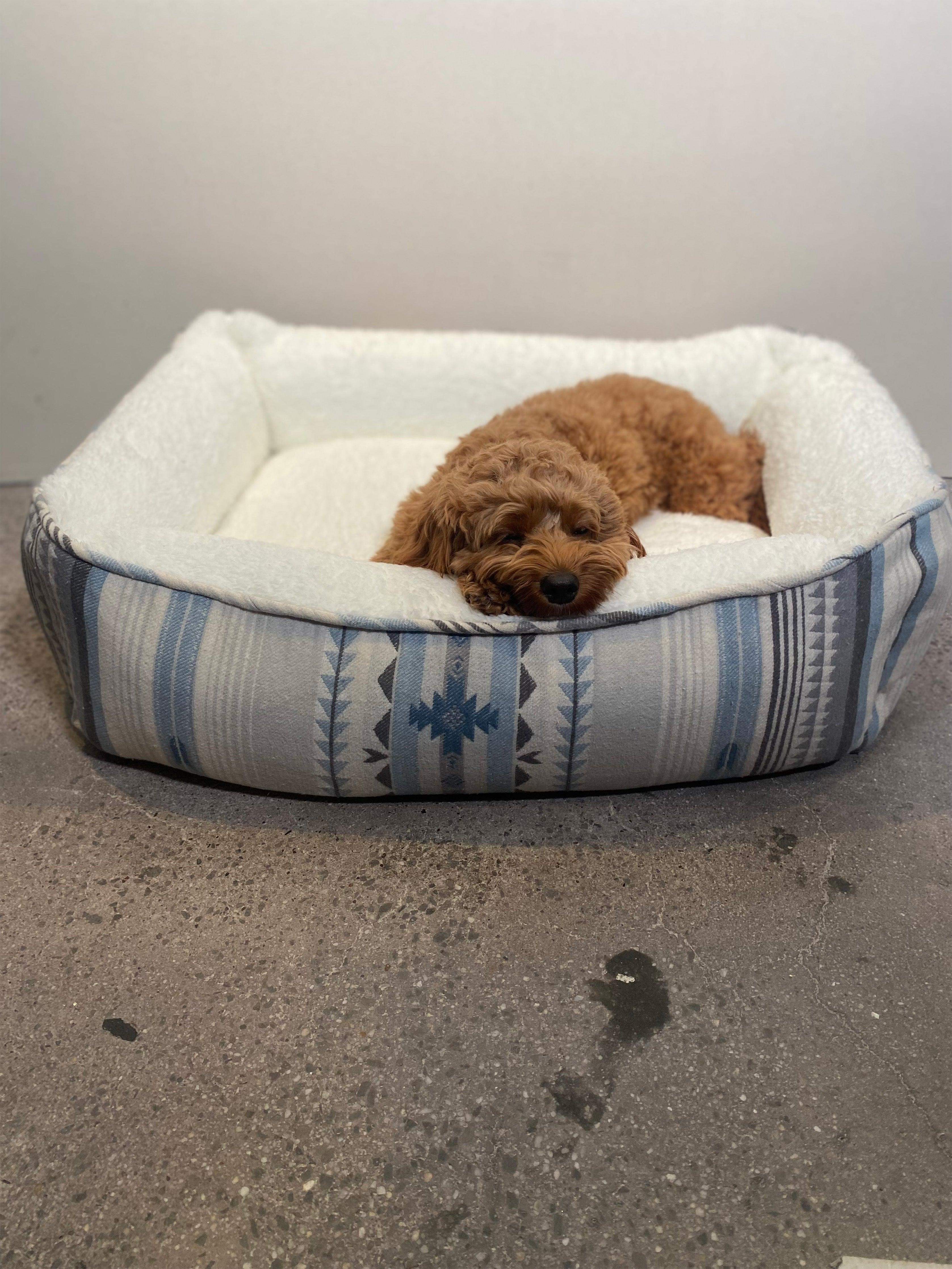 Doug Good Feather Dog Bed (Small) - Glacier Sky