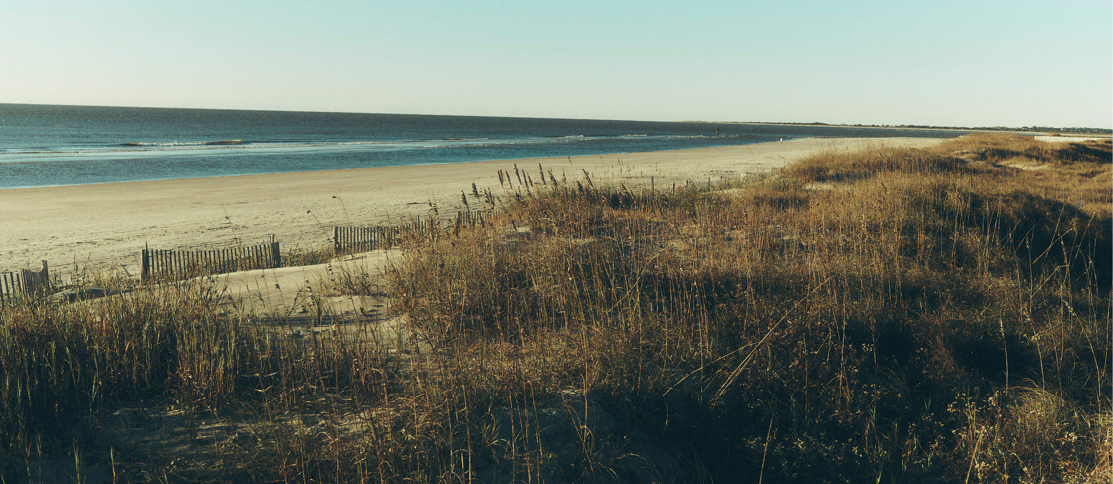 Mosquito Beach: The People Who Held the Shoreline