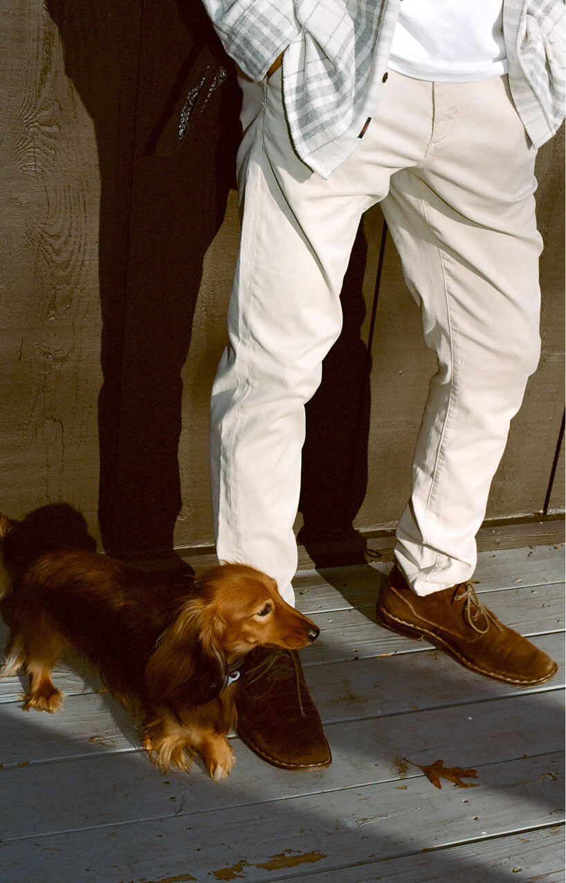 Coastline Stretch Chino