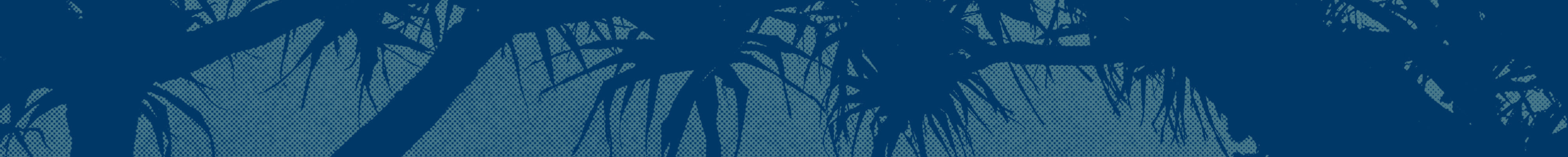 EOSS Desktop Skinny Banner Image
