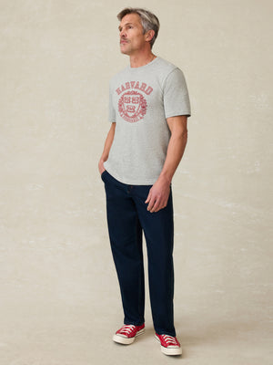Harvard Sunwashed Tee - Granite Heather