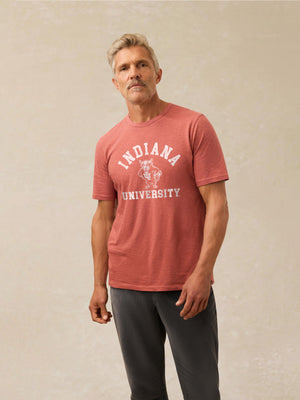 Indiana University Sunwashed Regenerative Tee - Cherry Wood