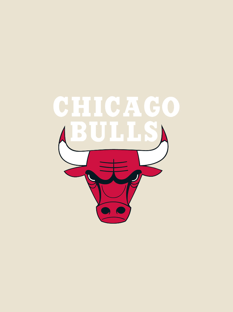 NBA Chicago Bulls Logo Card