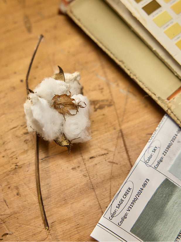 Regenerative Cotton c23be3b3 d278 48b2 a97b 68c11381f1ae