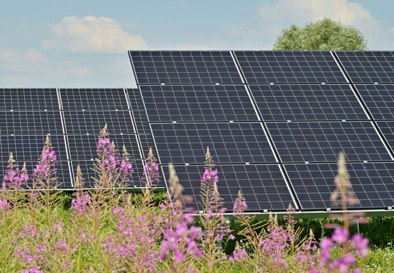 Renewable Energy 2 copy