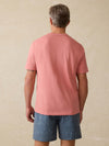 Sunwashed Regenerative Tee - Faded Flag