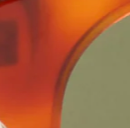 Amber Tortoise