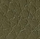 Green Multi