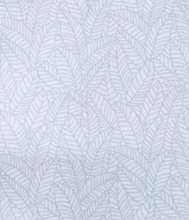 Ivory Sky Rainforest