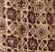 Sunrise Azulejos Mixed Print