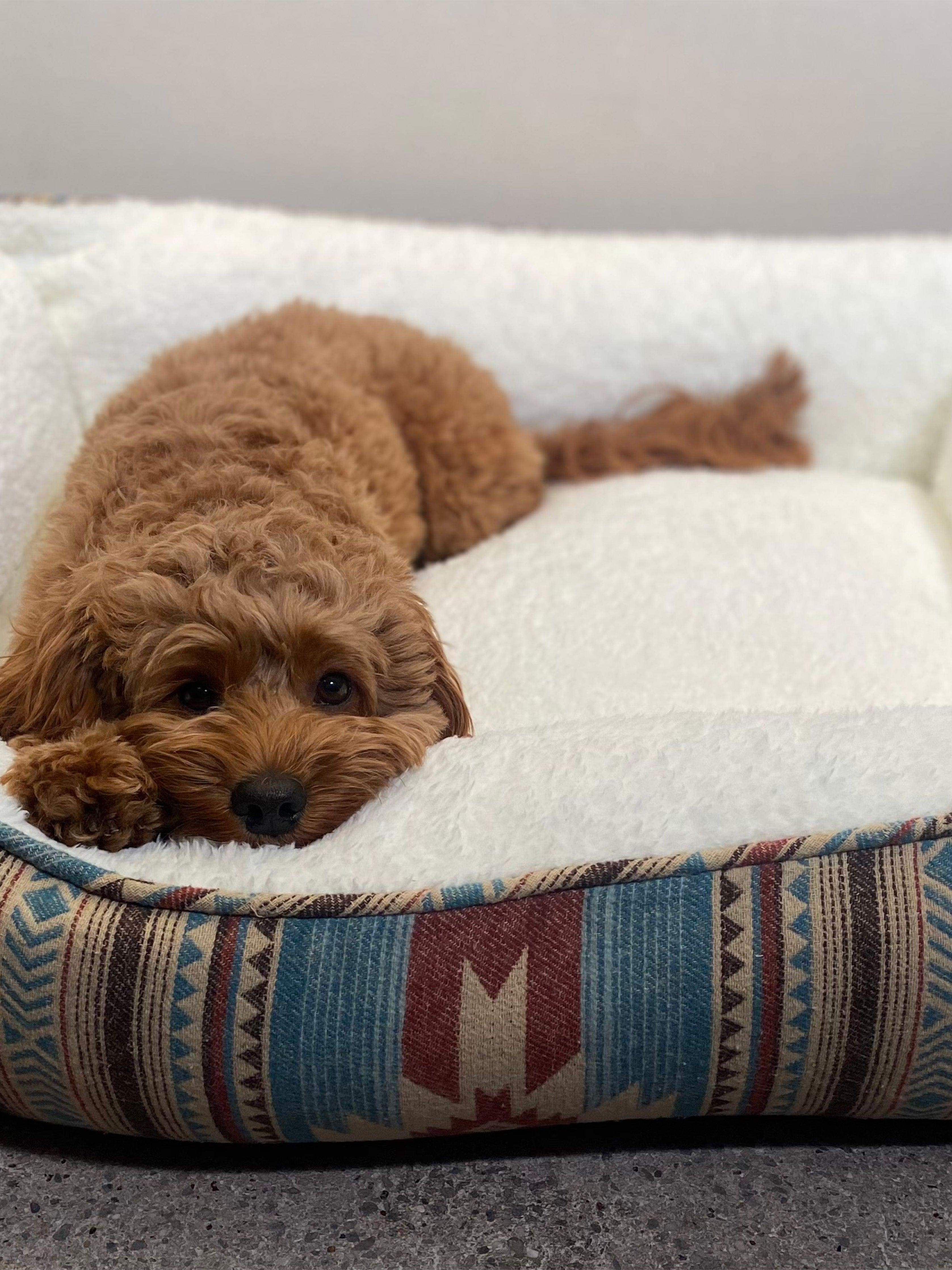 Doug Good Feather Dog Bed (Small) - Nescove