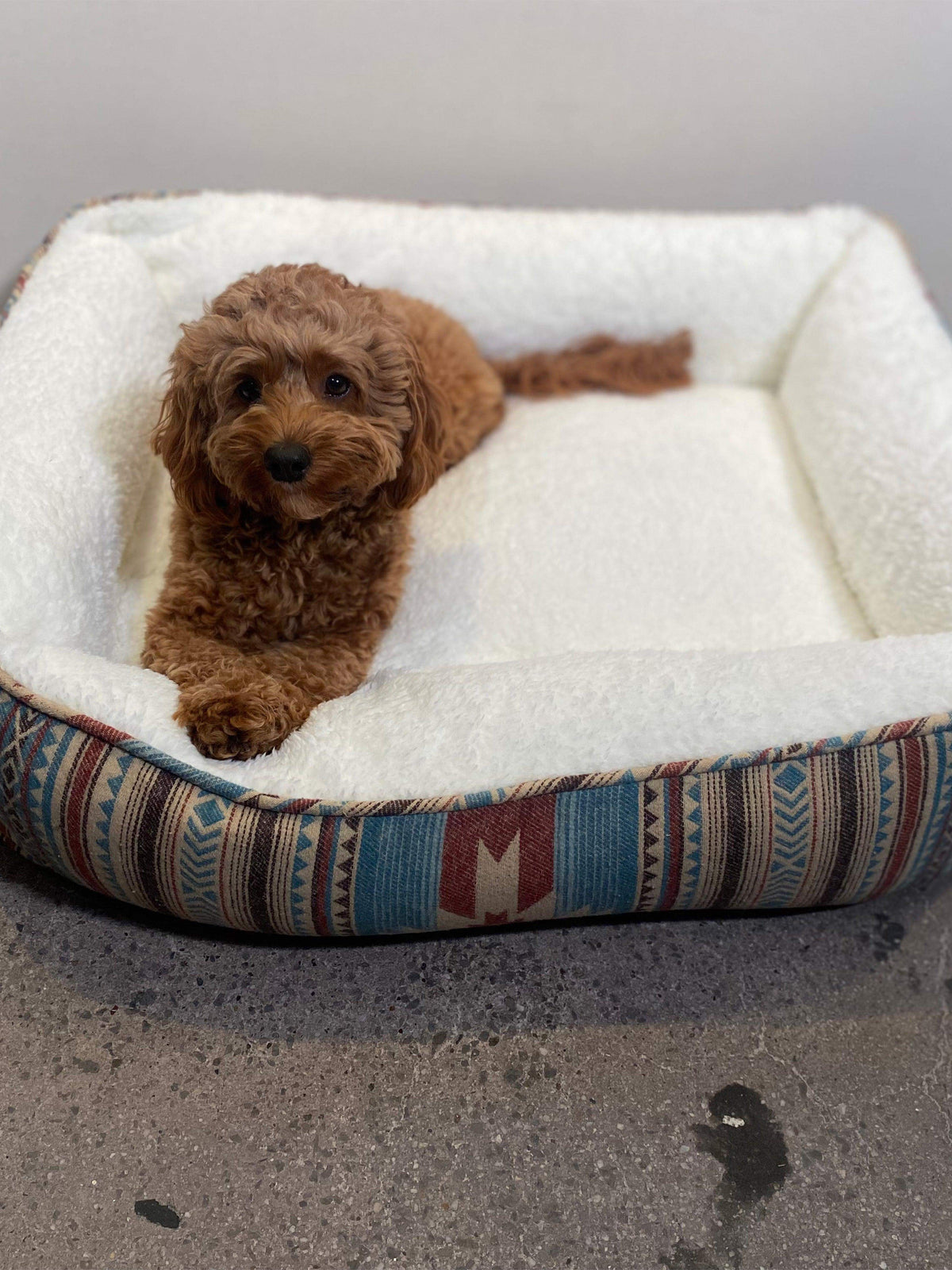 Doug Good Feather Dog Bed Nescove