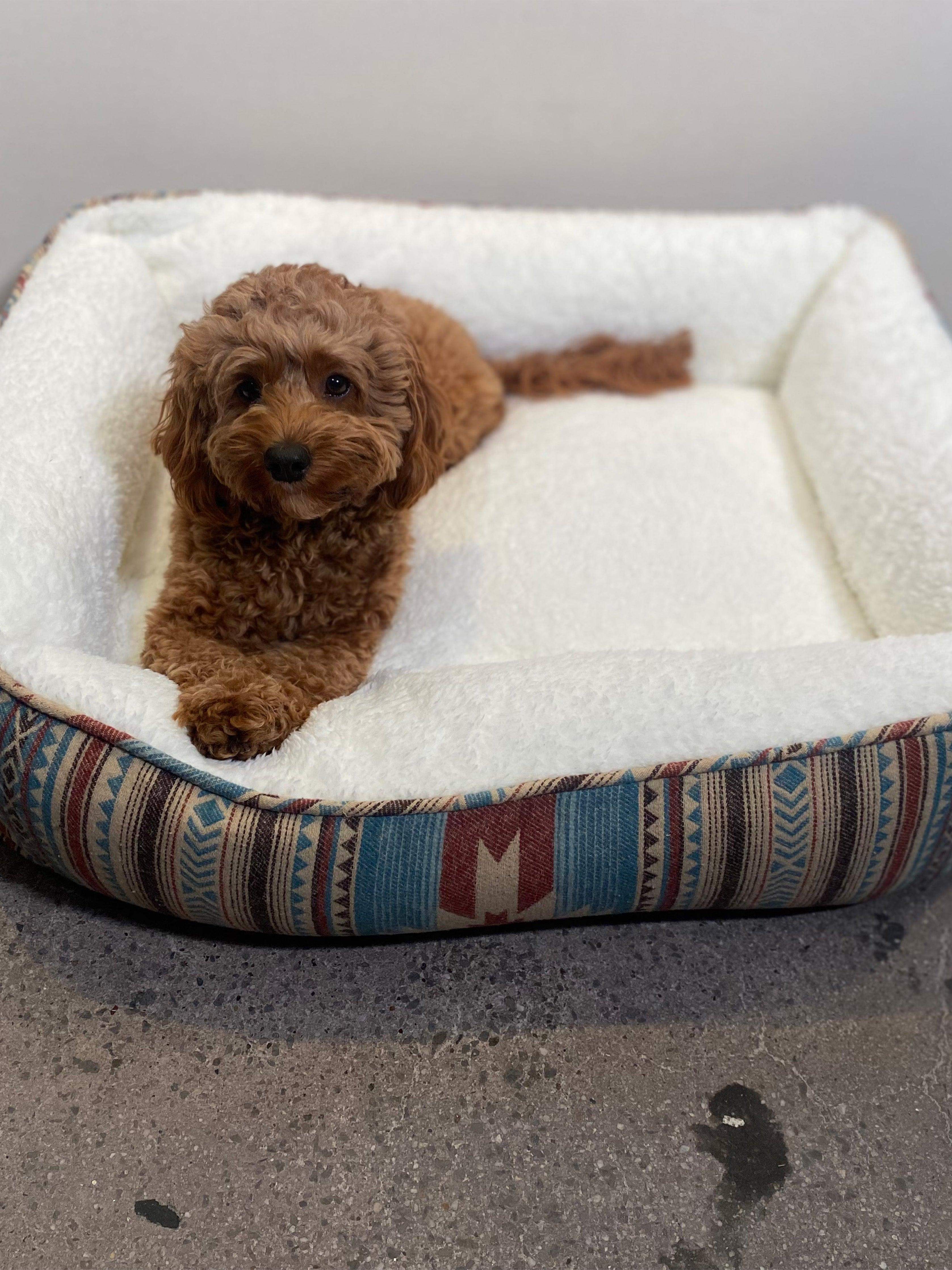 Doug Good Feather Dog Bed (Small) - Nescove